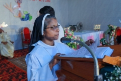 FIRST PROFESSION,FINAL PROFESSION& SILVER JUBILEE